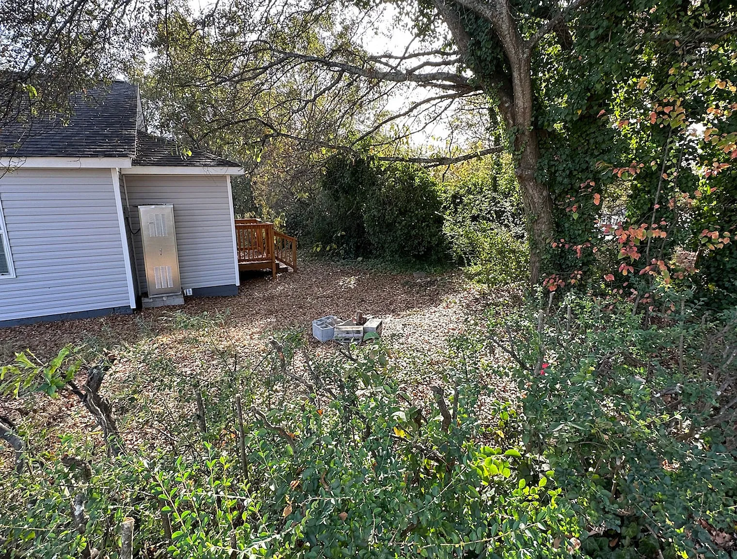 2 bed, 1.0 bath, $2,771 — Photo 4