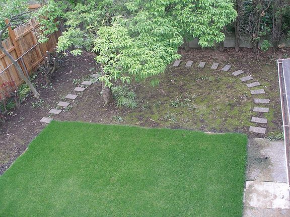 back yard