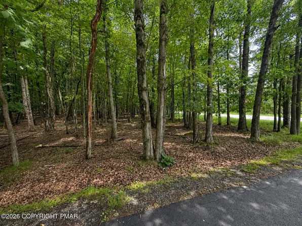Tower Rd Lot 401, Albrightsville, PA 18210
