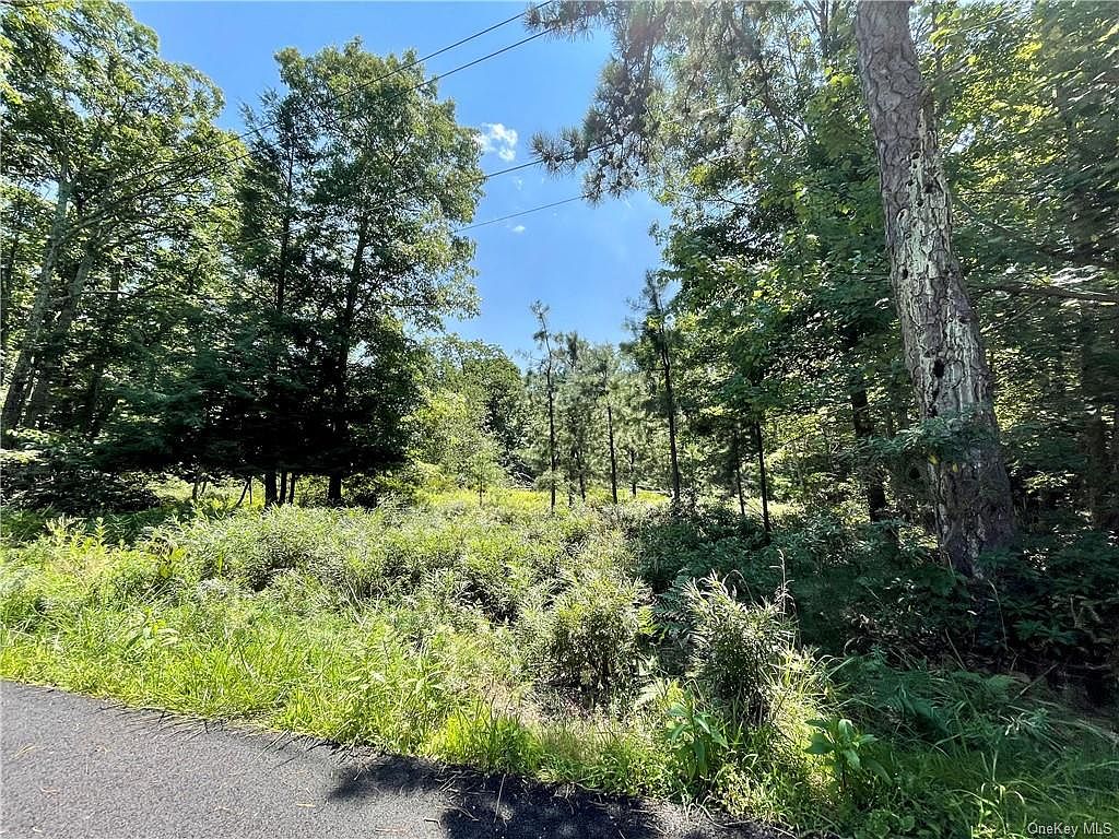 Kingfisher & Junco Trail, Wurtsboro, NY 12790 | MLS #H6256711 | Zillow