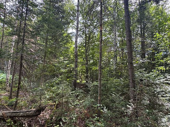 4th image of 1791 Alsace Rd