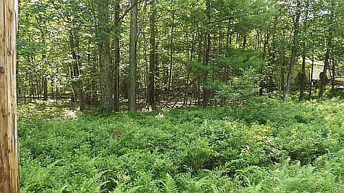 2nd image of Ridge Dr