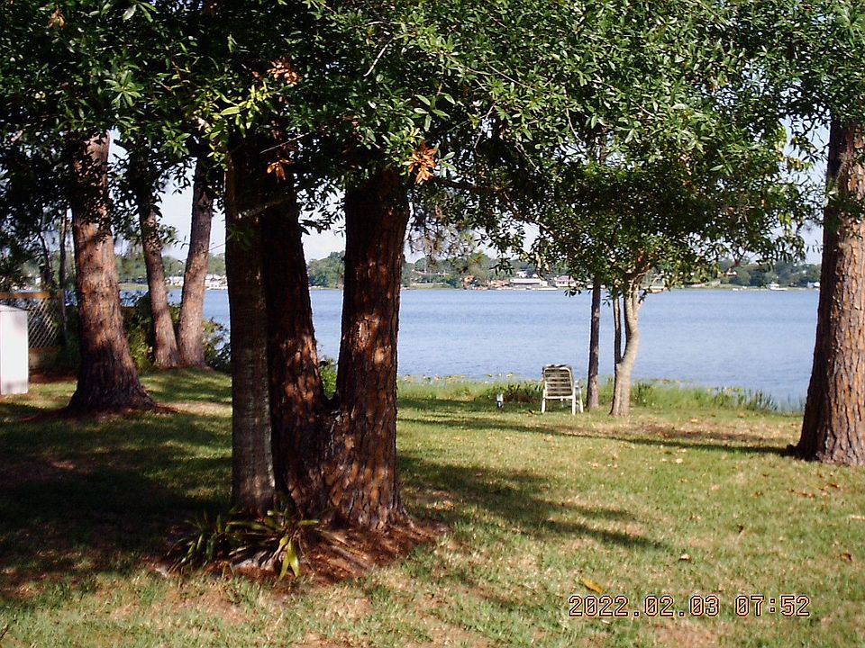 Back yard and Lk Cane