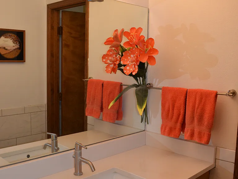 1339 San Ildefonso Rd — Photo 11