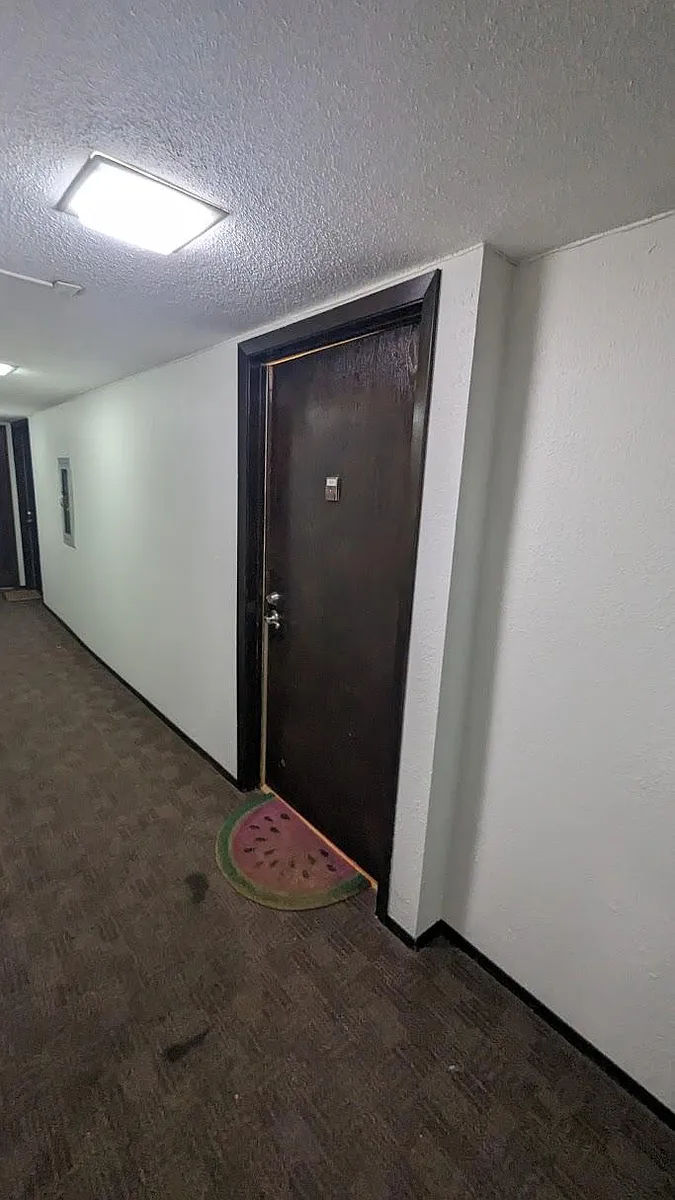 inside entry door - 520 Ridgewood Ave #5