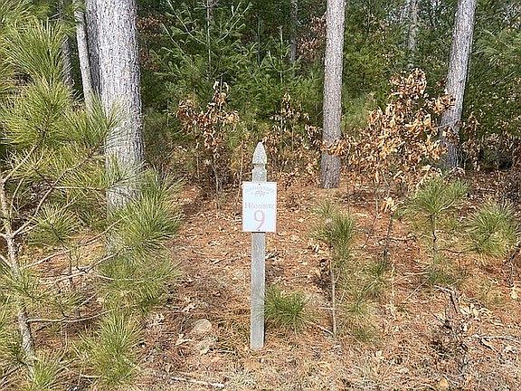 Lot #9 sign at street