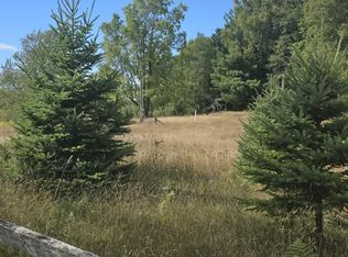 11750 Seventeen Mile Rd, Leroy, MI 49655