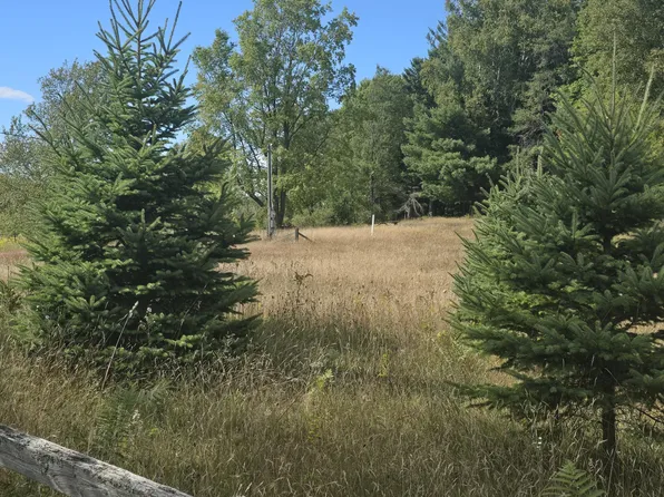 11750 Seventeen Mile Rd, Leroy, MI 49655