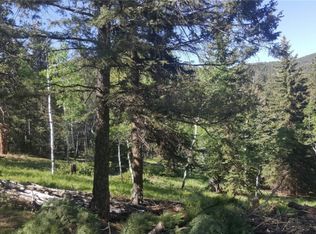 13667 Fir Dr, Conifer, CO 80433