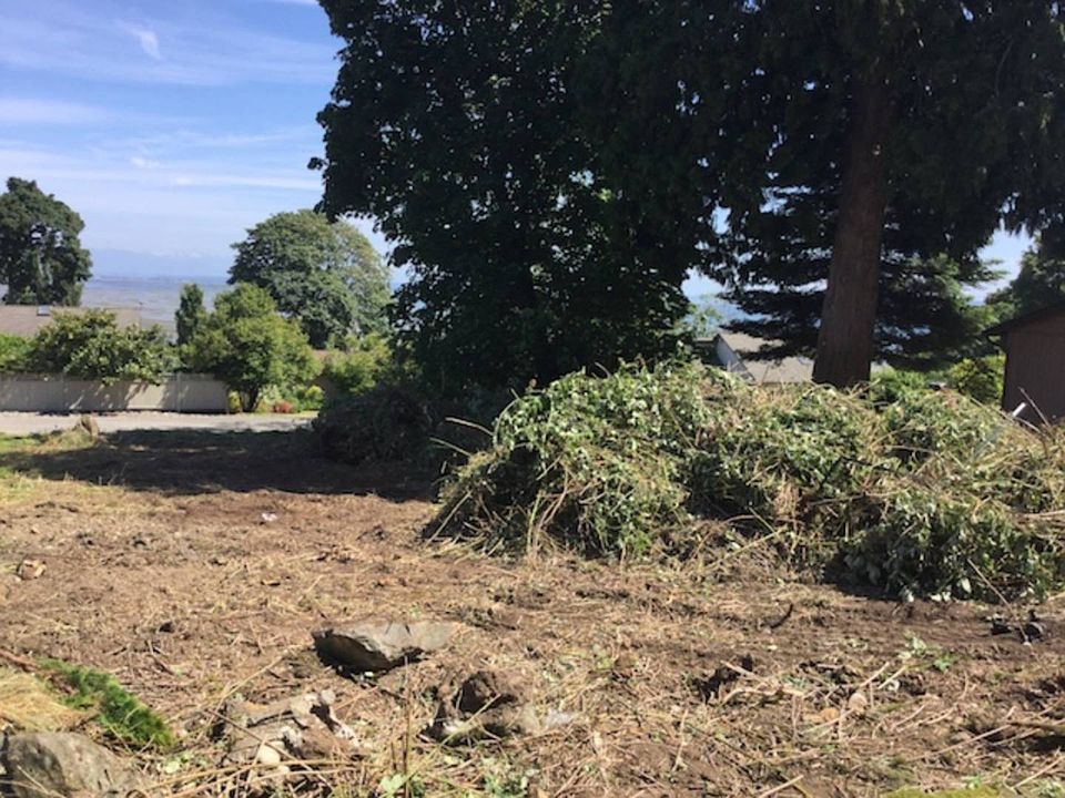 2nd image of Wicklow Pl