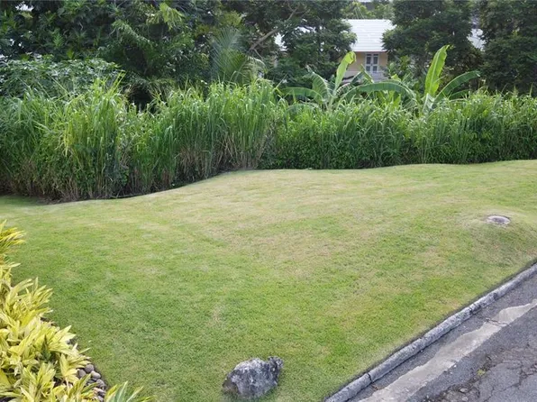 Flor De Liz #5, San Juan, PR 00927