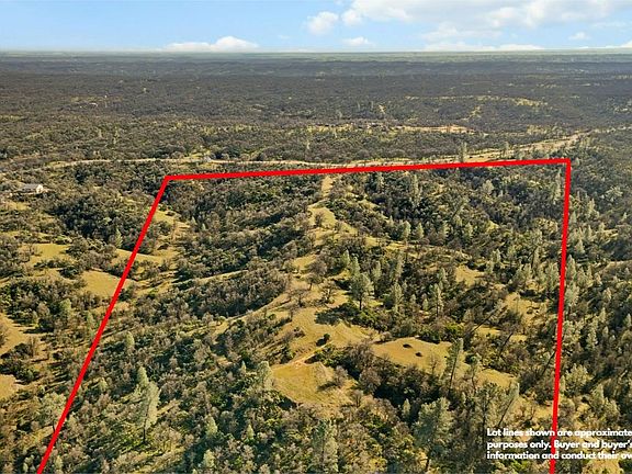 2nd image of 16850 Basler Rd