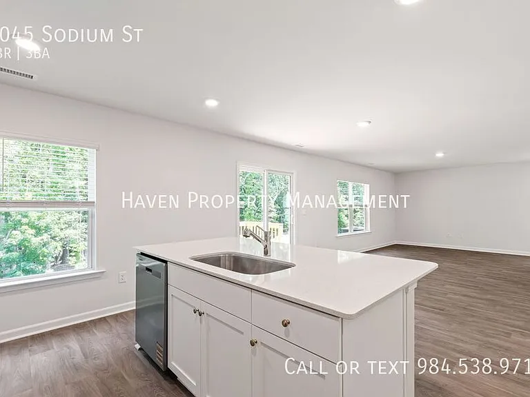 6045 Sodium St — Photo 16