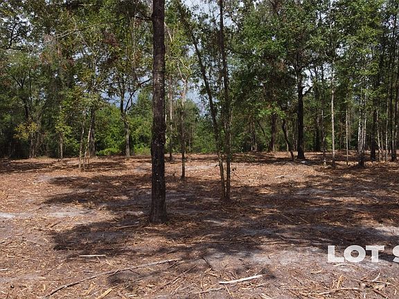 4th image of 15433 Bullock Bluff Rd