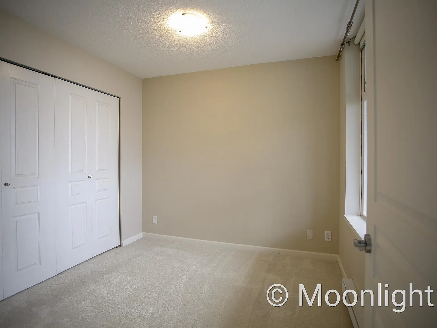 1 bed, 550 sqft, $1,800 — Photo 3