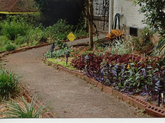 LUSH LANDSCAPING/POND