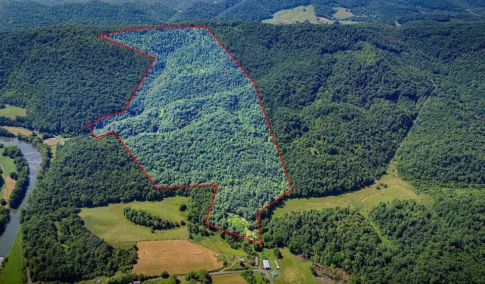 10th image of 131 Gibson Hollow Rd