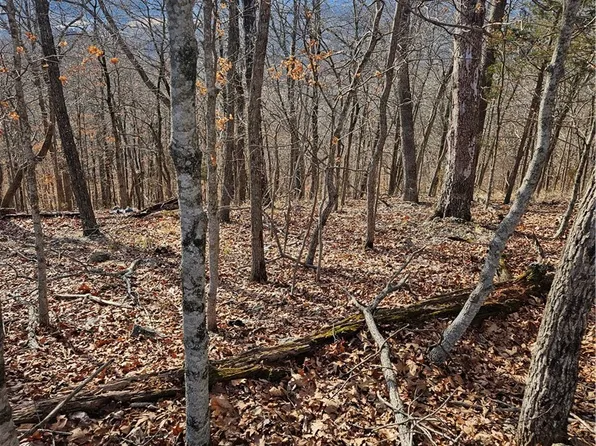 Holiday Island Dr Lot 11, Eureka Springs, AR 72631