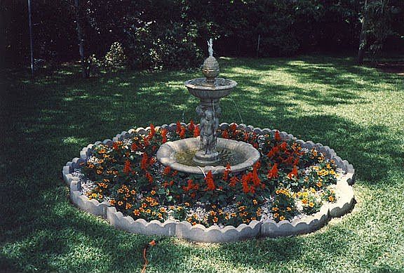Rear Yard