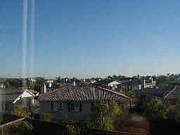 View from the backyard