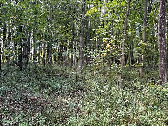 3rd image of Center Rd