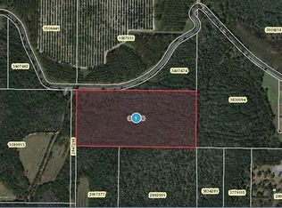 6704 Berry Groves Rd, Clermont, FL 34714