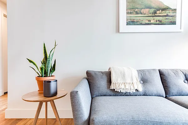 Rented by Common Living, Inc. | media 15