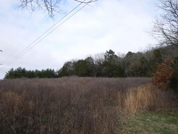 3rd image of 1016 Holleman Bend Ln
