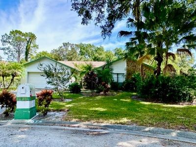 1910 Lake Platt Ln, Tampa, FL, 33618