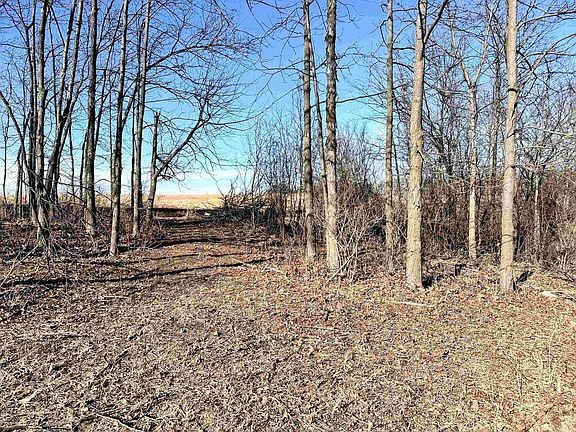 4th image of 1.29 acre Klein Brewery Road #1