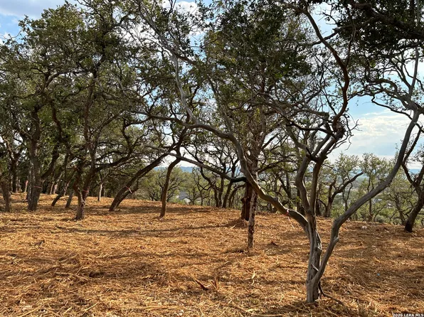 34780 Ansley Ridge LOT 98, Bulverde, TX 78163