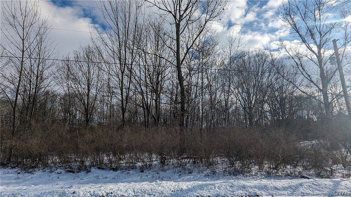 0 Westland Dr 24, Bouckville, NY 13310 MLS S1321282 Zillow