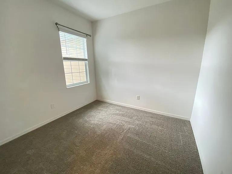 2217 Sedge Grass Way — Photo 12