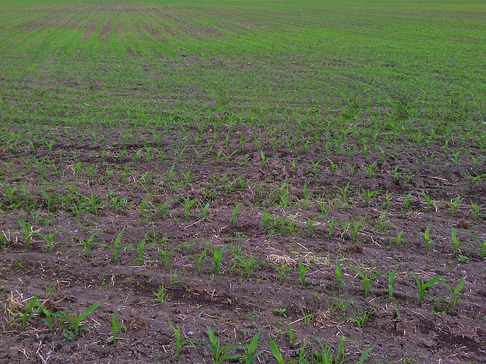 2nd image of 3676 S Pass Rd