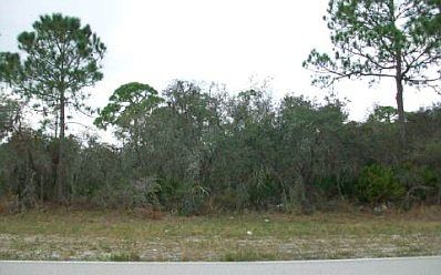 2nd image of 9801 S Orange Blossom Blvd