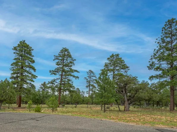 2961 Eagle Ridge Cir, Happy Jack, AZ 86024