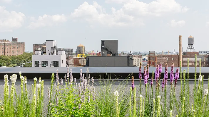 Rented by Nooklyn NYC LLC | media 56