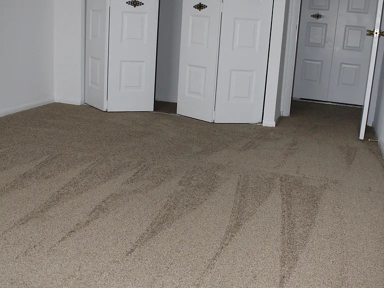 414 Fountain St #21 — Photo 3