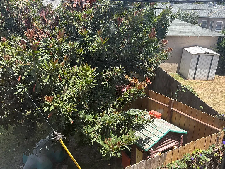 View from bedroom windows