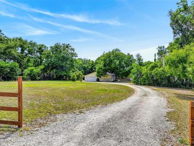 317 Tomato Hill Rd, Leesburg, FL, 34748
