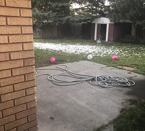 back yard