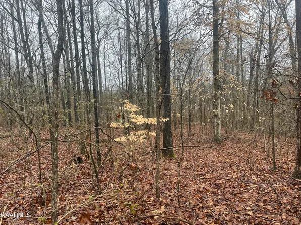 443 Old Dandridge Park, Strawberry Plains, TN 37871