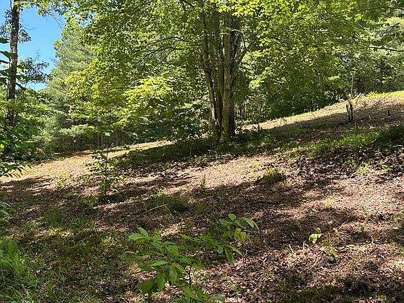 5th image of LOT 8 Moore Acres