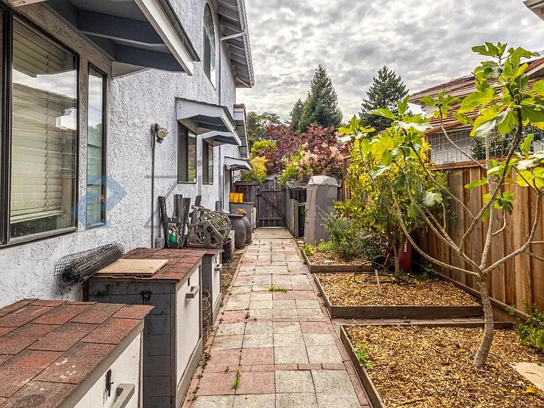 Sideyard