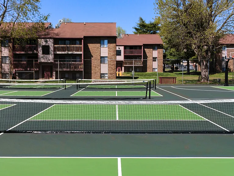Pickleball and Basketball Court