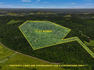 33 Lane Branch Rd, Fayetteville, TN 37334