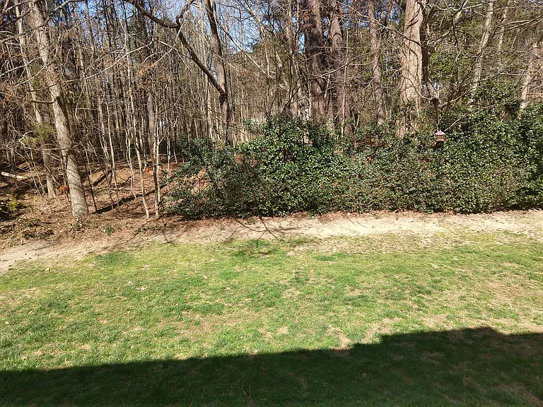 4631 Malone Ct — Photo 17