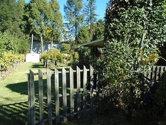 5th image of 221 Bailhache Ave