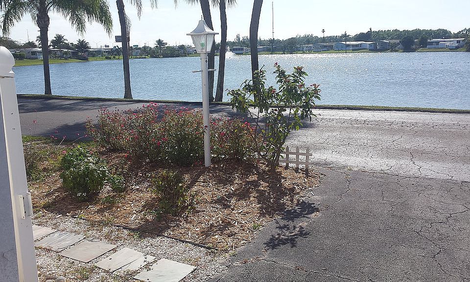Lake view
