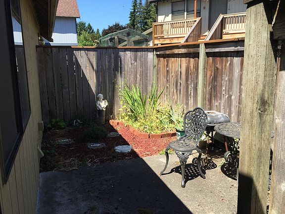 Back yard